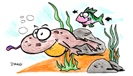 Un crapaud nage sous l'eau. Coloriages gratuits et illustrations sur www.coloriages-pour-enfants.com