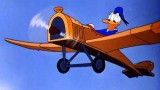 Dessin animé Disney Donald Duck - La Machine Volante Donald